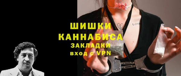 бошки Няндома