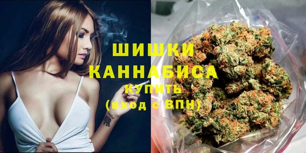 бошки Няндома