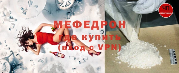 прущие грибы Лабытнанги