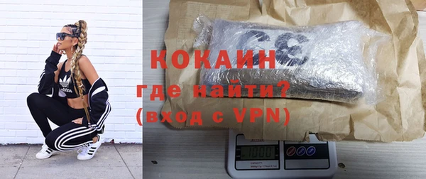 бошки Няндома
